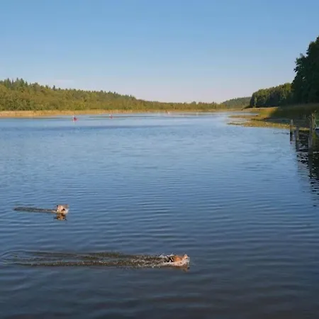 Mit Sauna Im Mirow *