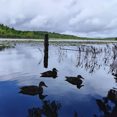Mit Sauna Im Mirow Vakantiehuis *