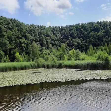 Mit Sauna Im Mirow Granzow